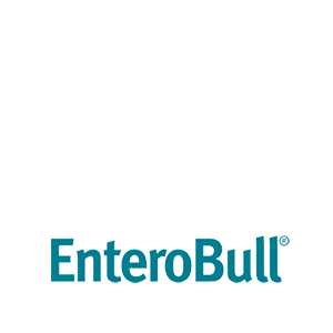 Enterobull